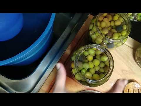 Como aliñar las aceitunas arbequinas y conservarlas