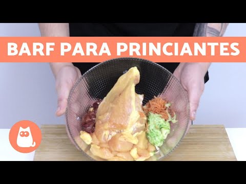 Como preparar comida barf para perros en casa