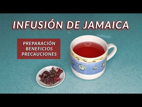 Como preparar el te de flor de jamaica