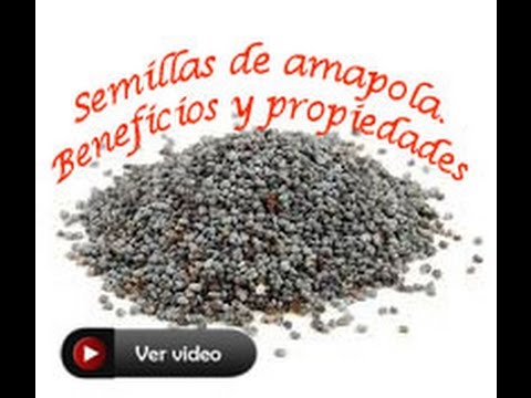 Como preparar infusion de semillas de amapola