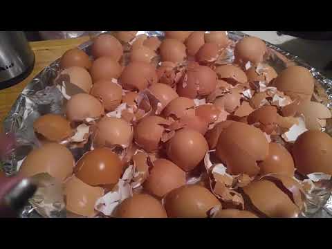 Como preparar la cáscara de huevo para el calcio
