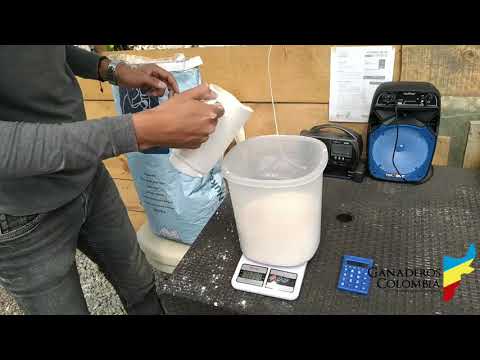 Como preparar leche en polvo para terneros