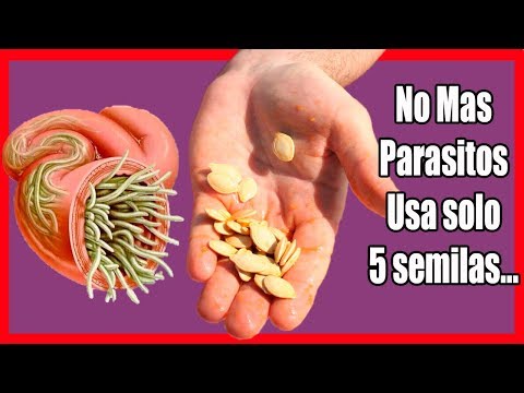 Como preparar semillas de calabaza para los parasitos
