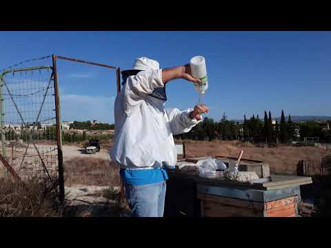 Como preparar tiras de amitraz para abejas